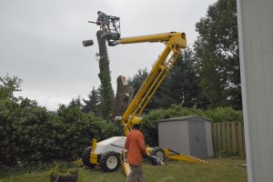 bucket equipment tree removal auburn-federal way-kent-burien-des moines wa